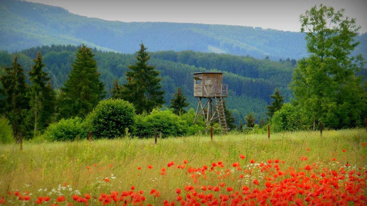 Ferienwohnung Warstein Eksteriør bilde